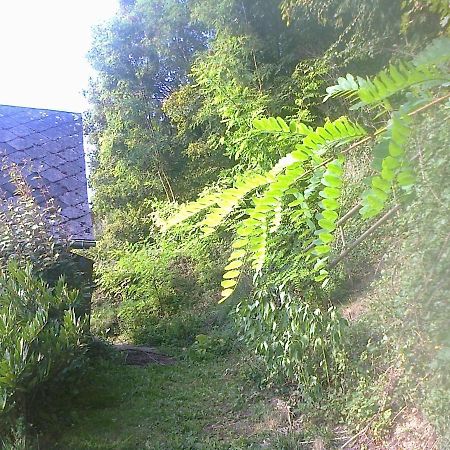 A Flanc De Colline Villa Cormeilles  Dış mekan fotoğraf